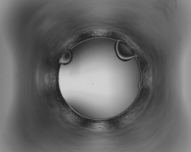 X0000116440505200912081559