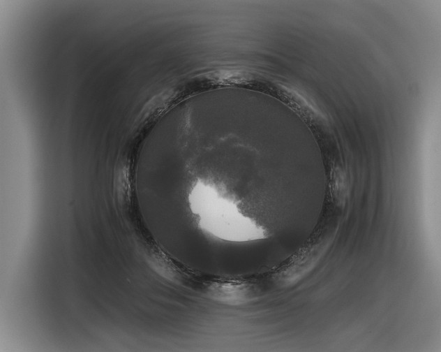 X0000116440506200912081559