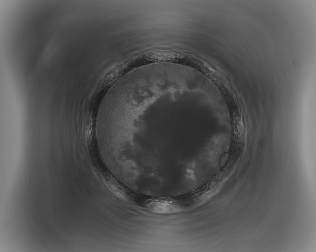 X0000116440507200912081559