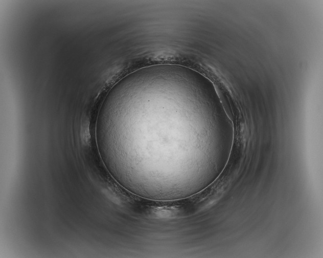 X0000116440508200912081559