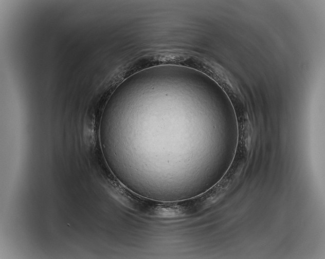 X0000116440510200912081559