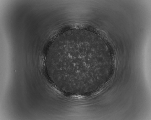 X0000116440511200912081559