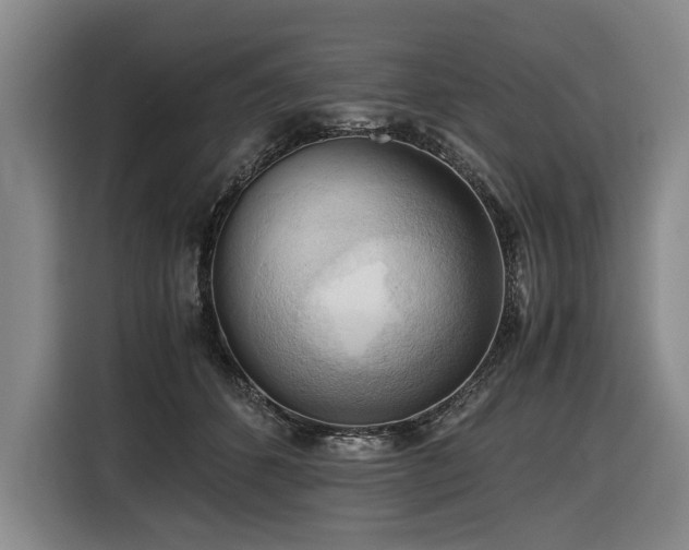 X0000116440512200912081559