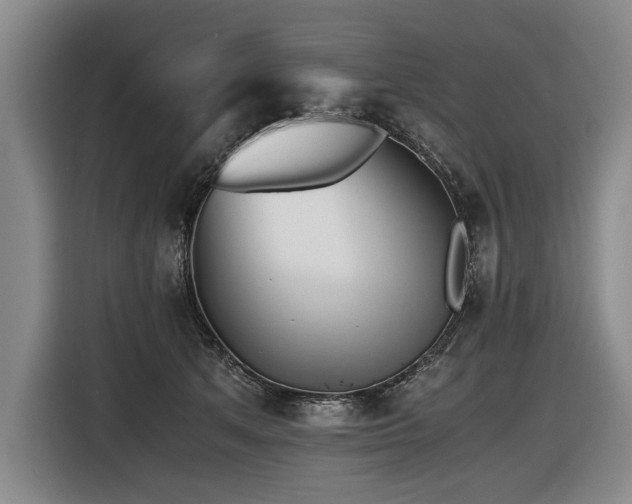 X0000116440513200912081559