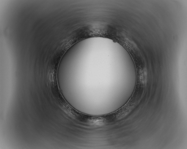 X0000116440514200912081559