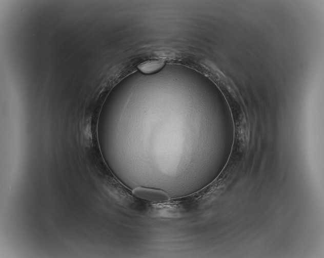 X0000116440516200912081559