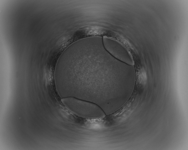 X0000116440517200912081559