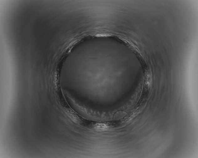 X0000116440519200912081559