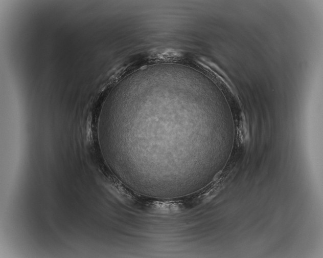 X0000116440520200912081559