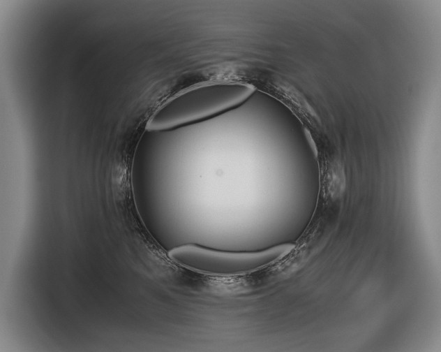 X0000116440521200912081559