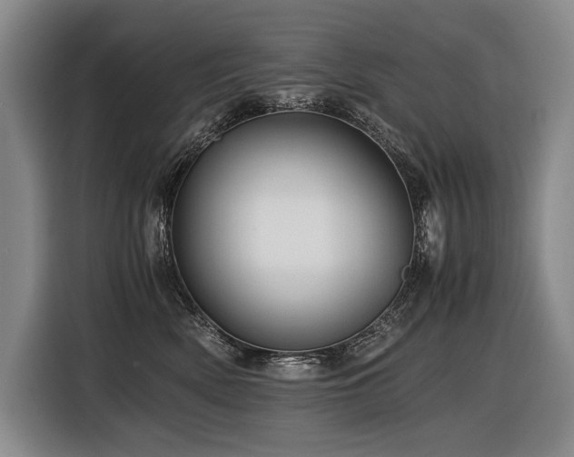 X0000116440522200912081559