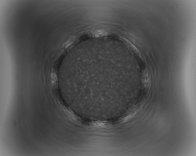 X0000116440523200912081559