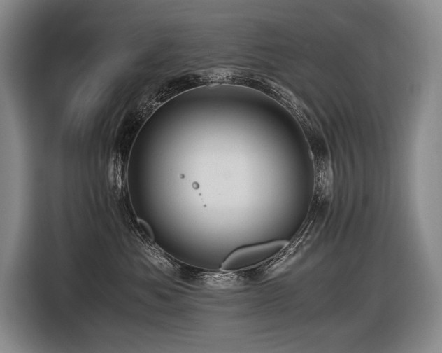 X0000116440525200912081559
