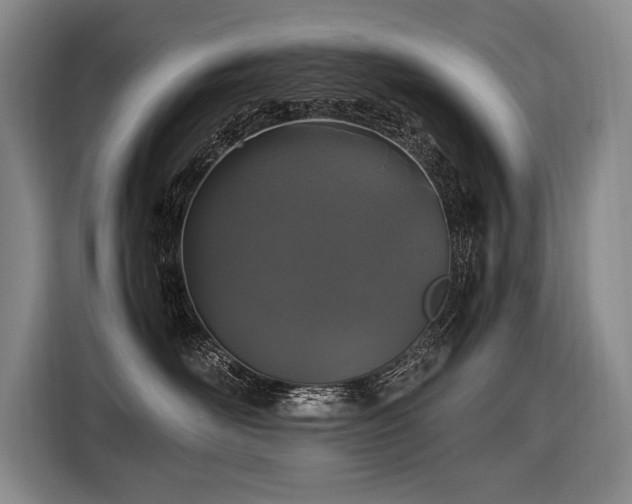 X0000116440526200912081559