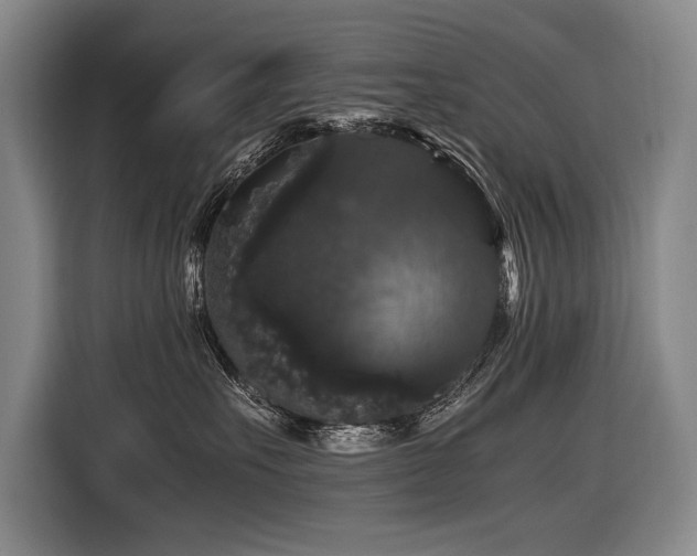 X0000116440527200912081559