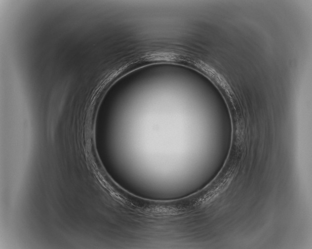 X0000116440529200912081558