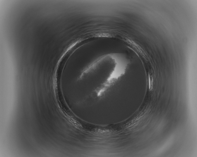 X0000116440531200912081558