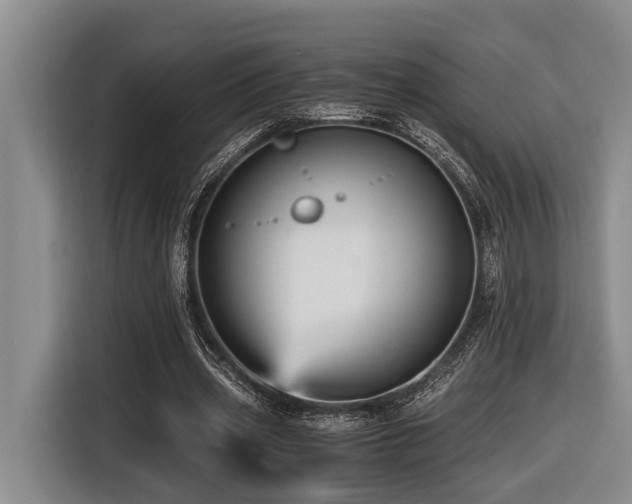 X0000116440533200912081558