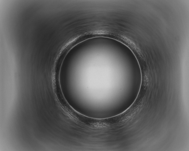 X0000116440535200912081558
