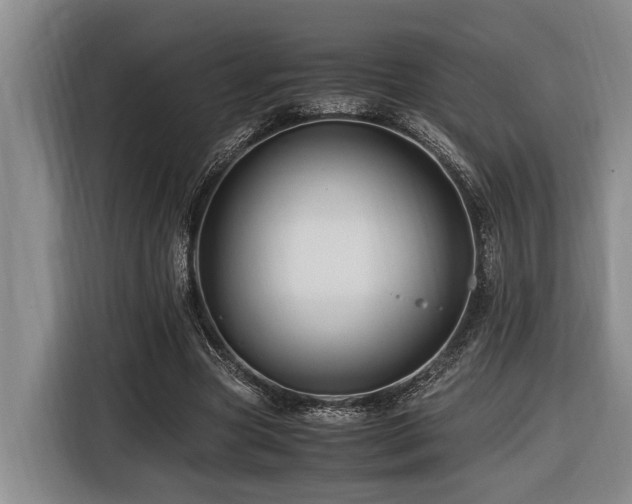 X0000116440537200912081558