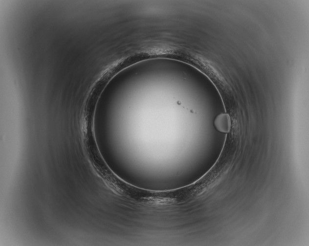 X0000116440539200912081558