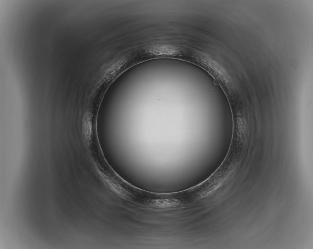 X0000116440541200912081558
