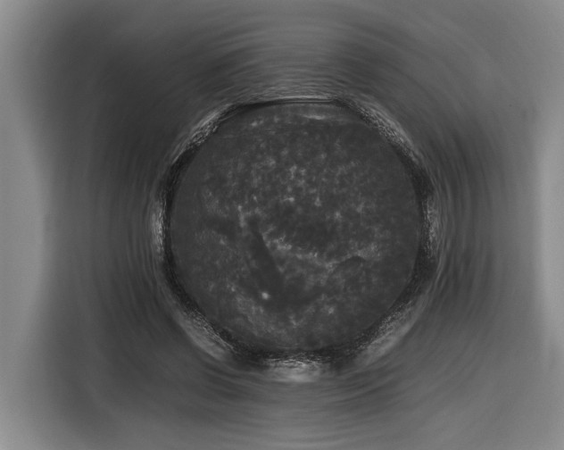 X0000116440542200912081558