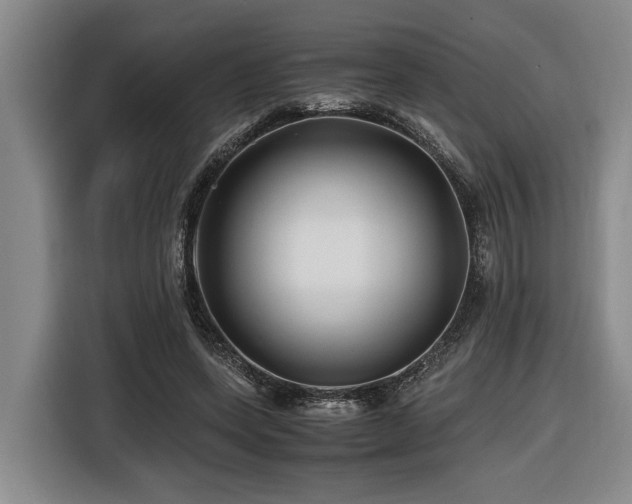 X0000116440543200912081558