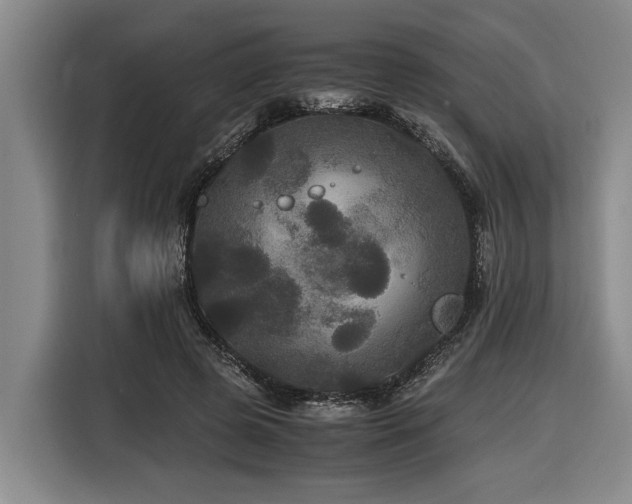 X0000116440545200912081558