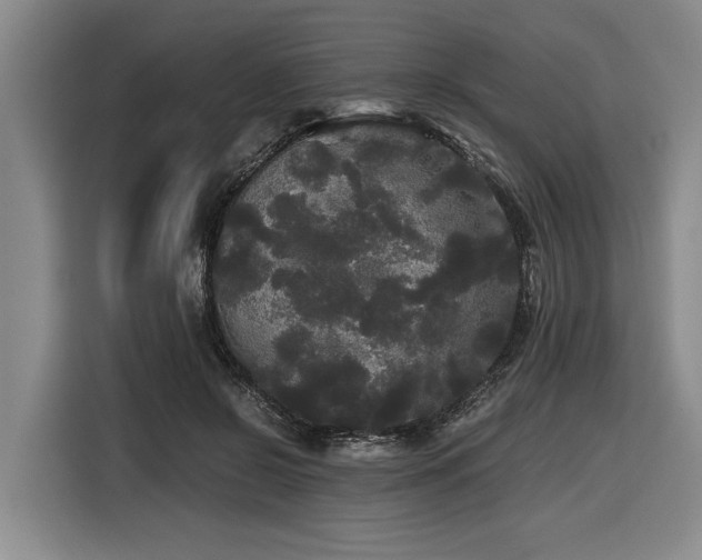 X0000116440550200912081558
