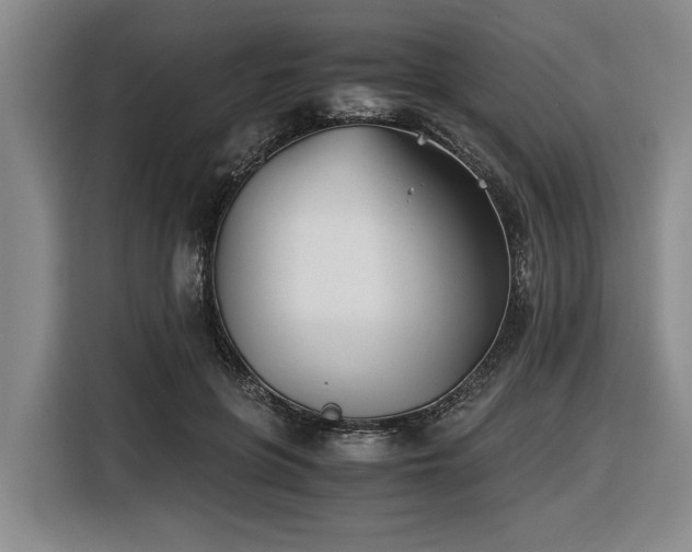 X0000116440551200912081558