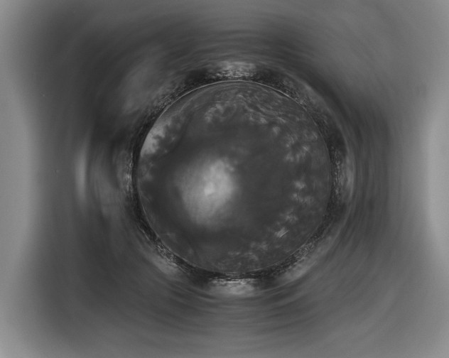 X0000116440553200912081558
