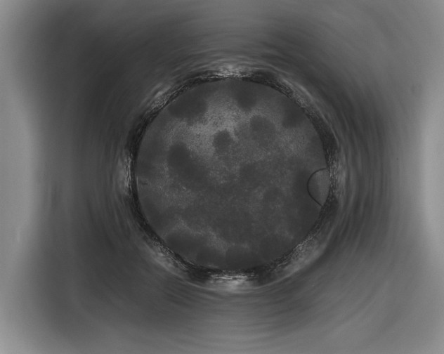 X0000116440554200912081558