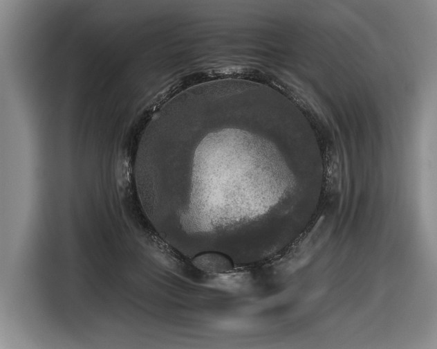 X0000116440555200912081558