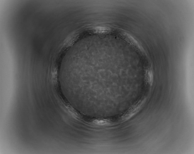 X0000116440557200912081558
