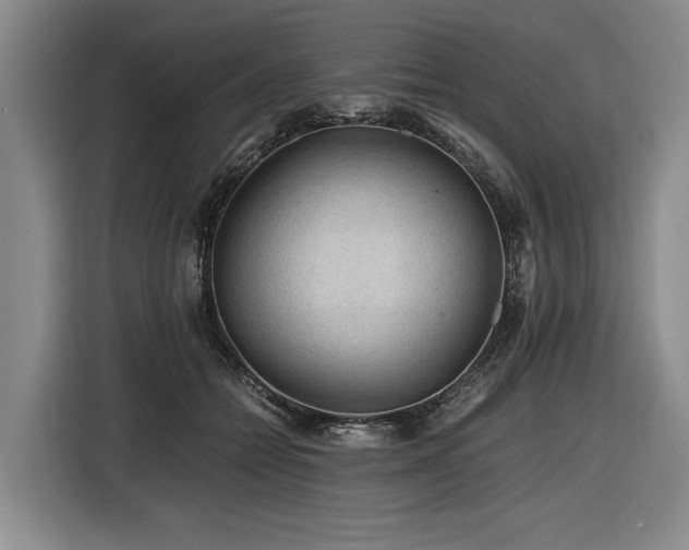 X0000116440558200912081558