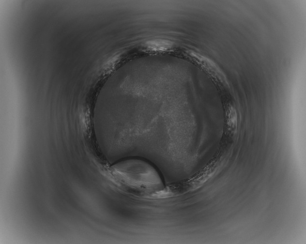 X0000116440559200912081558
