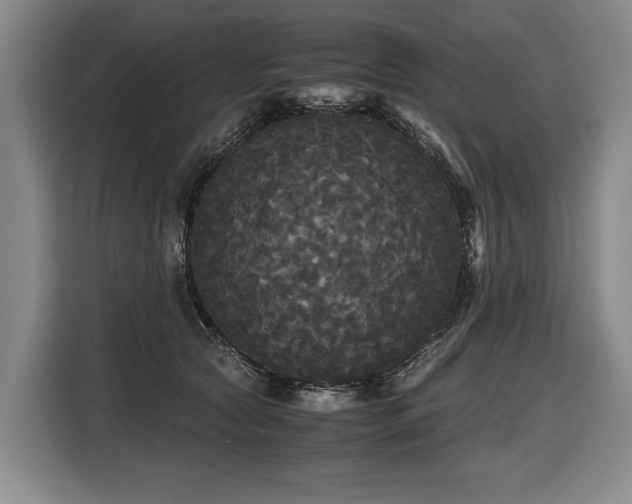 X0000116440561200912081559