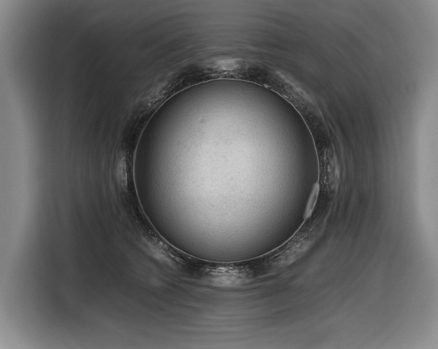 X0000116440562200912081559