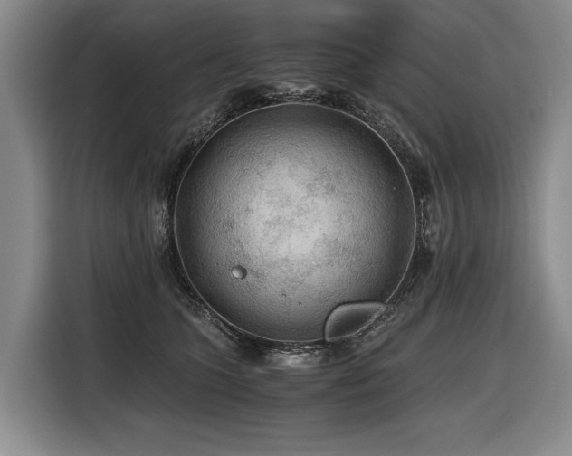 X0000116440563200912081559