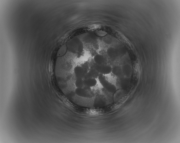 X0000116440565200912081559