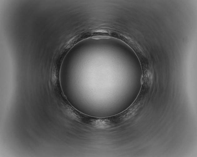 X0000116440566200912081559