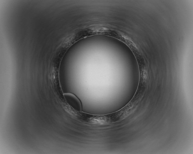 X0000116440567200912081559