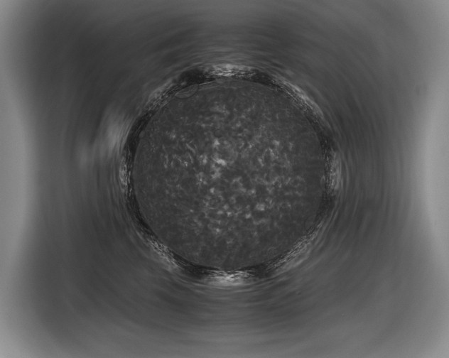 X0000116440569200912081559