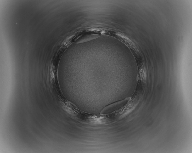 X0000116440570200912081559