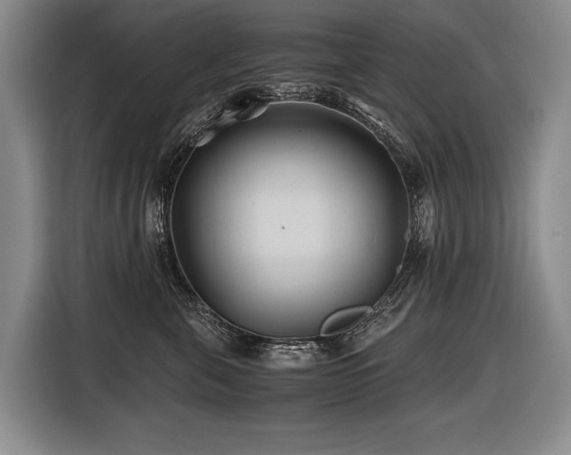 X0000116440571200912081559