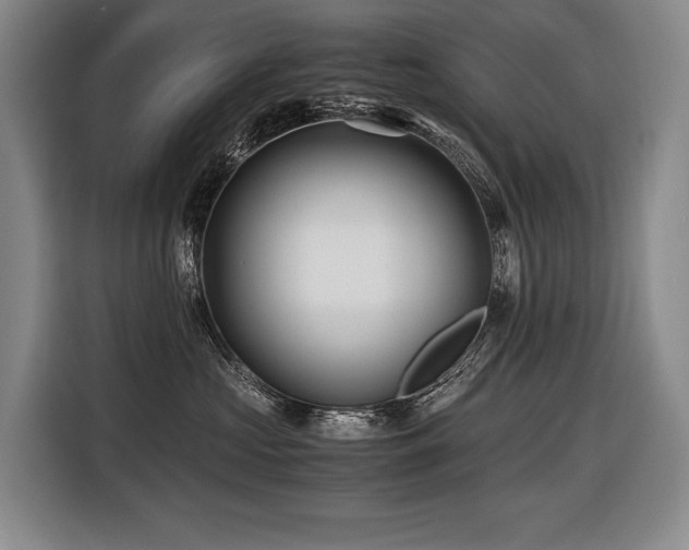 X0000116440573200912081559