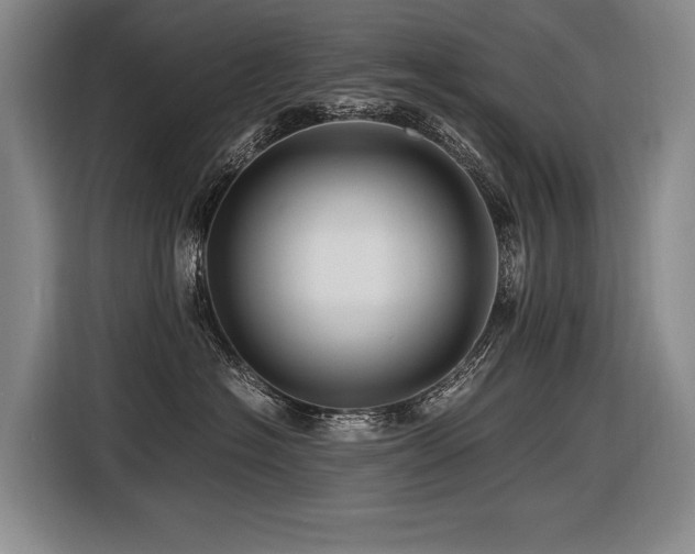 X0000116440574200912081559
