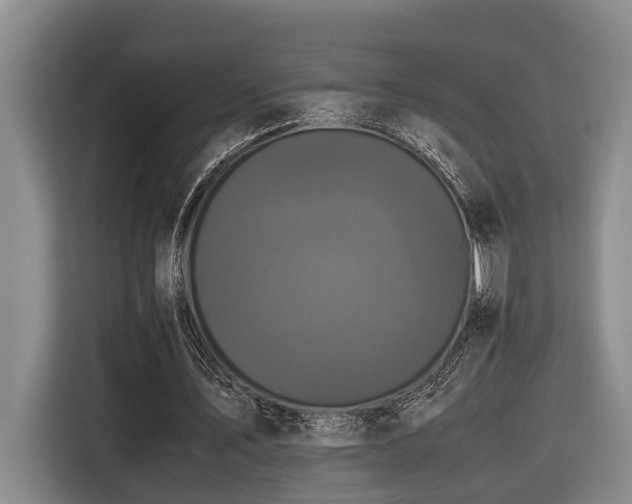 X0000116440579200912081558