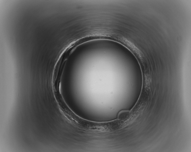 X0000116440580200912081558